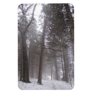Ímã Trajeto da floresta do inverno