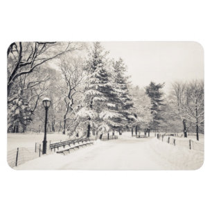 Ímã Trajeto do inverno do Central Park - Nova Iorque