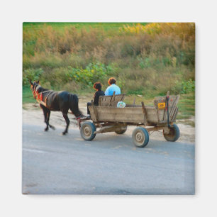 Imã Transporte de Romania, de cavalo e de carro