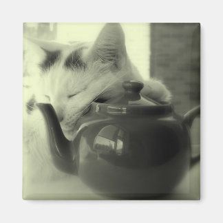 Imã Travesseiro de bule