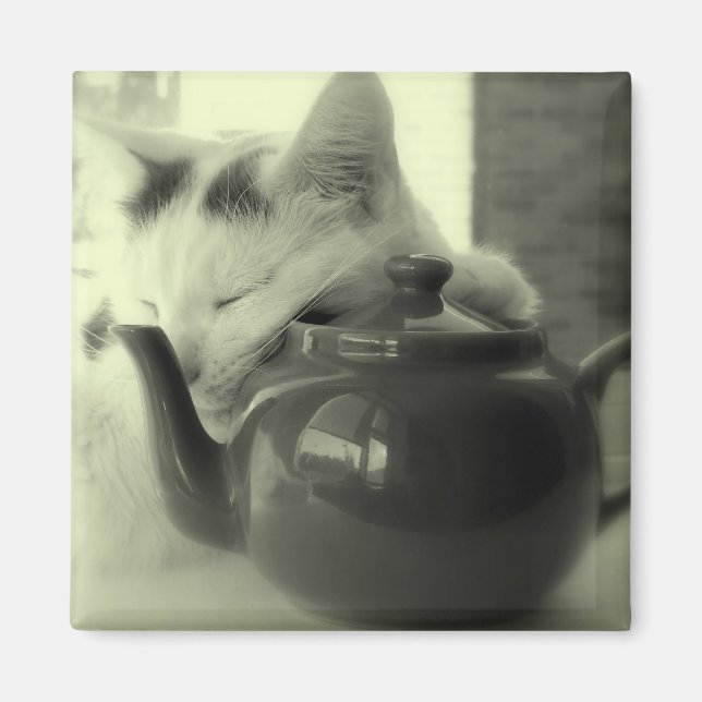 Imã Travesseiro de bule (Frente)