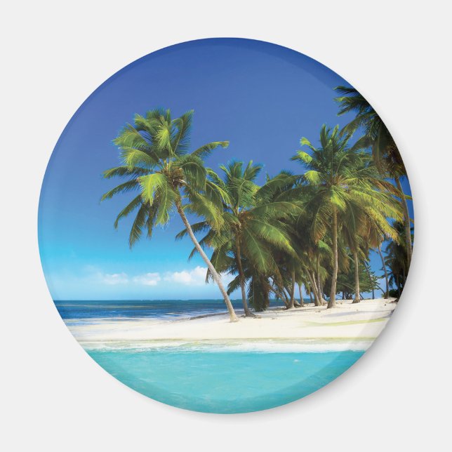 Imã Travesseiro decorativo de praia exótico (Frente)