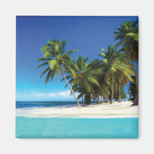 Imã Travesseiro decorativo de praia exótico