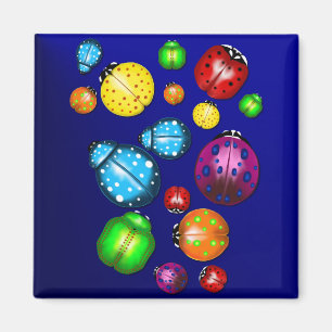 Imã Travesseiro do Inseto a cores