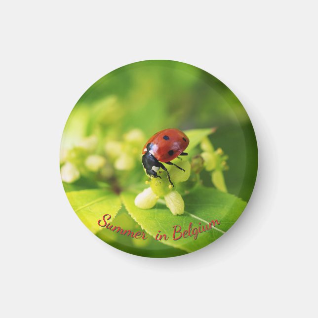 Imã Travesseiro redondo (Frente)