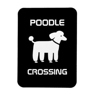 Ímã Travessia de Poodle - Branco no Preto - Personaliz