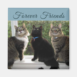 Imã Três Amigos de Gato no Íman da Janela