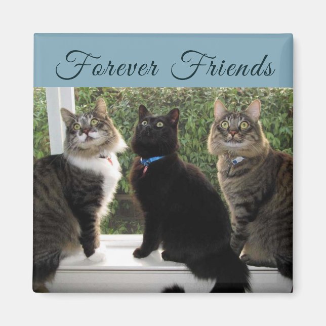 Imã Três Amigos de Gato no Íman da Janela (Frente)