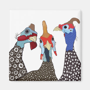 Imã Três Aves De Cabra De Guiné Cortadas