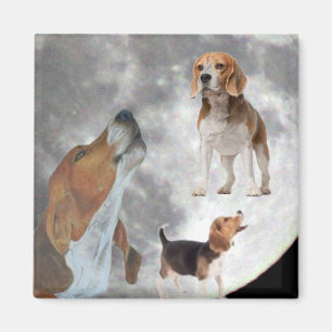 Imã Três Beagles e a Lua Magnet