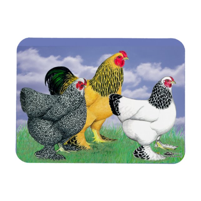 Ímã Três Brahmas (Horizontal)