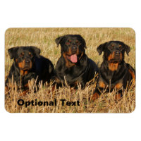 Três Cães Rottweiler - Embalagem de Rotinas