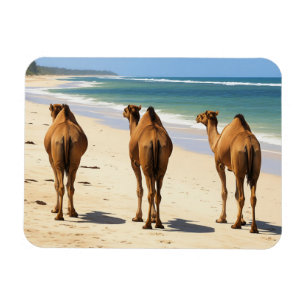Ímã Três Camelos na praia em Mombasa Kenya