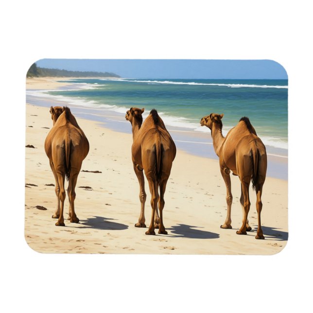 Ímã Três Camelos na praia em Mombasa Kenya (Horizontal)