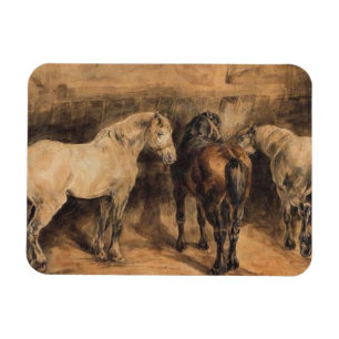 Ímã Três Cavalos na sua estábula