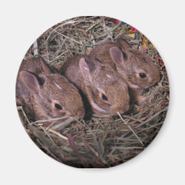 Imã Três Em Um Íman De Linha