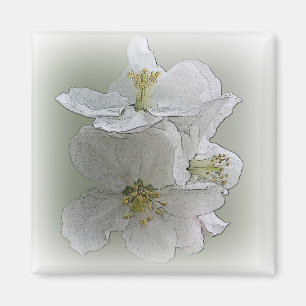 Imã três flores brancas