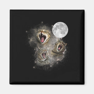 Imã Três Gatos Moon Engraçado Memória Maldita