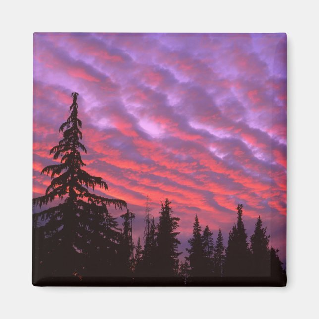 Imã Três Irmãs Wilderness, Oregon (Frente)