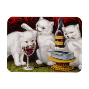 Ímã Três Jolly Kittens no Banquete