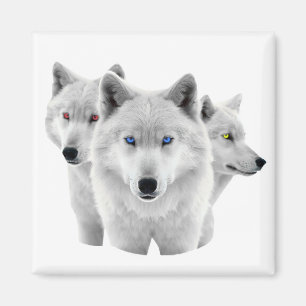 Imã Três Lobos Brancos