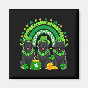Imã Três Newfoundlands Fofos Dia de São Patrício Trevo
