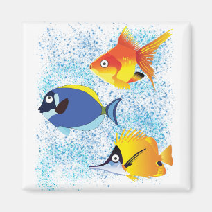 Imã Três Peixes Coloridos