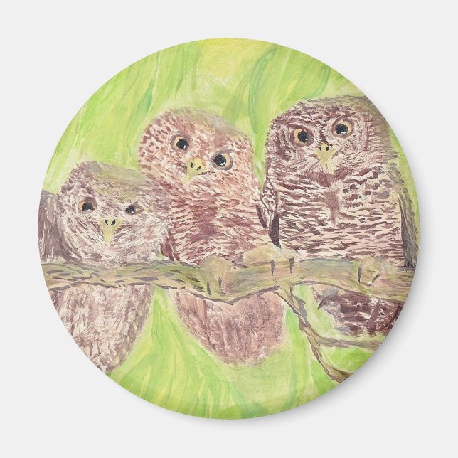 Imã Três Pequenas Corujas De Vassoura - pintura acríli (Frente)