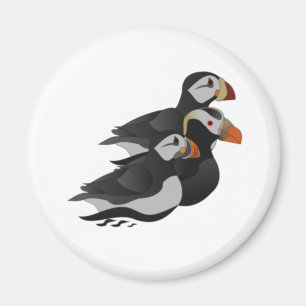 Imã Três Puffins Adoravelmente Amáveis Nadando Cartoon