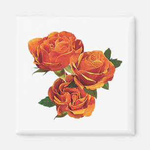 Imã Três rosas alaranjados