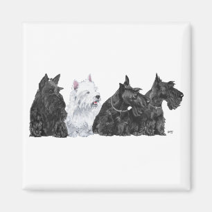 Imã Três Scotties Curiosos e um Westie