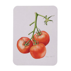 Ímã Três tomates na videira 1997