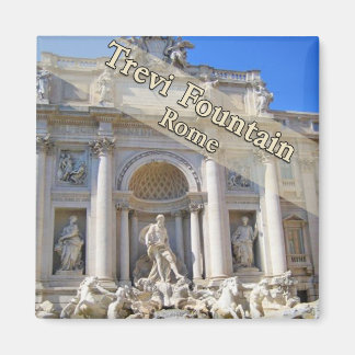 Imã Trevi Fountain Roma Itália