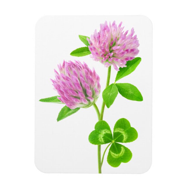 Ímã Trevo rosa (Vertical)