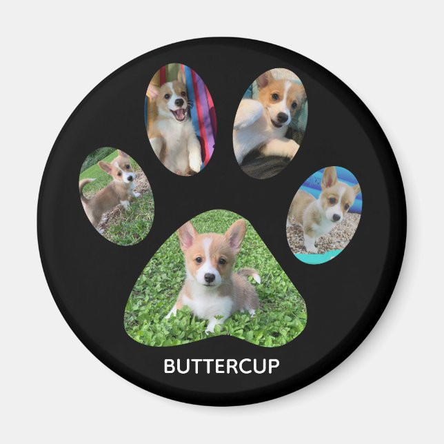 Imã Tributação de Impressão de Pet Fotografe Personali (Frente)