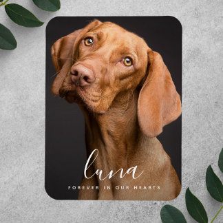 Ímã Tributação Memorial do Pet Cartão de condolências