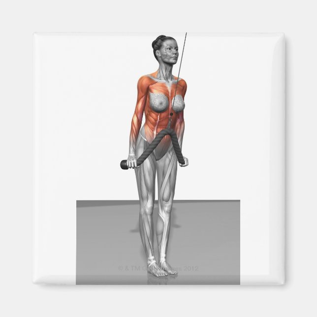 Imã Triceps Push Downs (Frente)