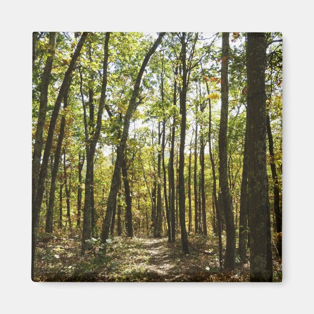 Imã Trilha Appalachian em outubro em Shenandoah (Frente)