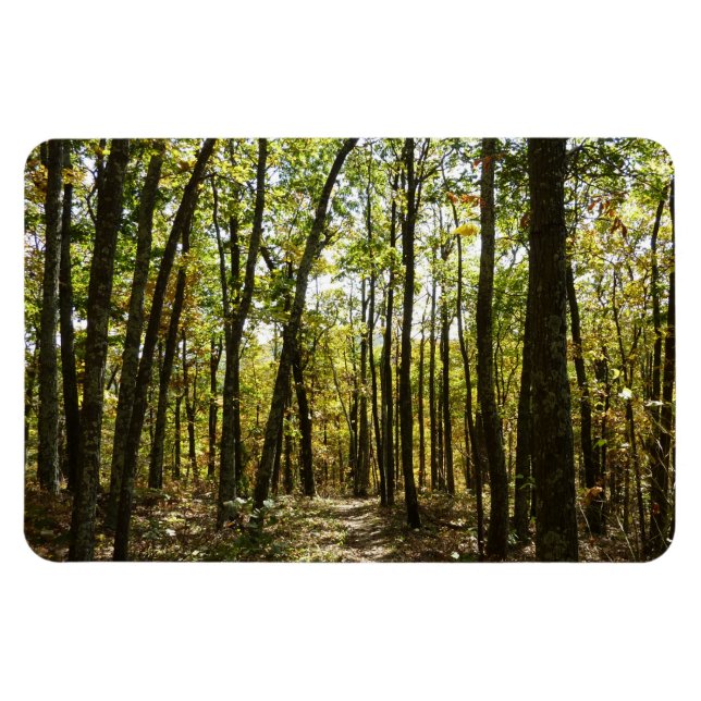 Ímã Trilha Appalachian em outubro em Shenandoah (Horizontal)