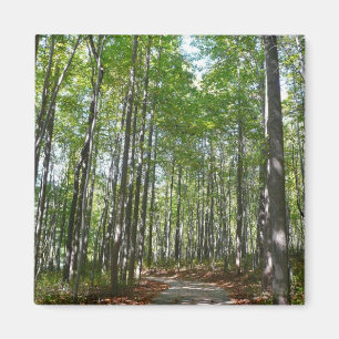 Imã Trilha Arborizada Centenária II Ellicott City Mary