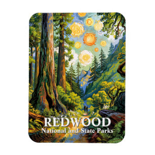 Ímã Trilha de caminhada no Parque Nacional Redwood Van