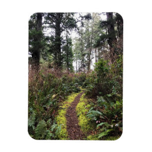 Ímã Trilha de Loop da Floresta Costeira, Desapontament