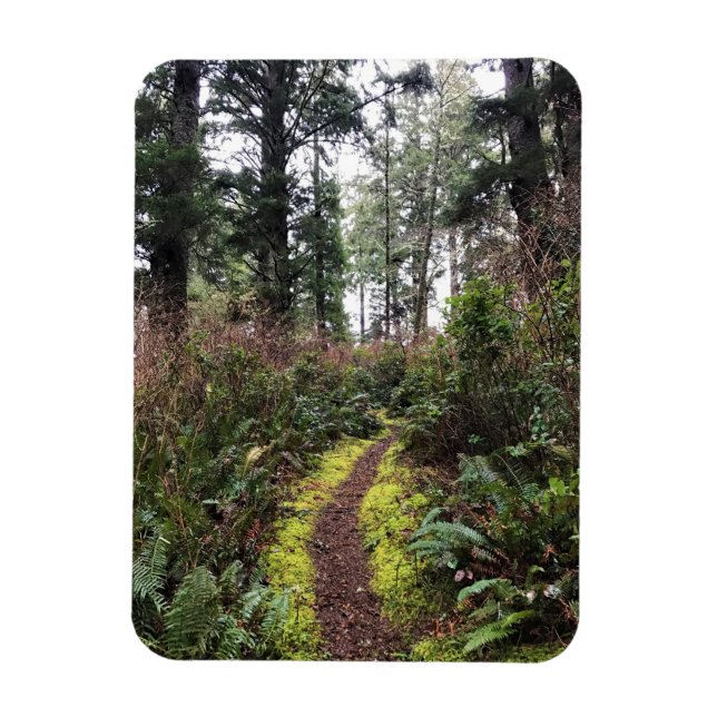 Ímã Trilha de Loop da Floresta Costeira, Desapontament (Vertical)