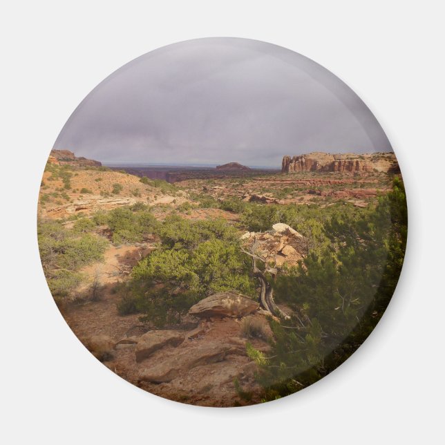 Imã Trilha de Primaveras de Pescoço no Parque Nacional (Frente)