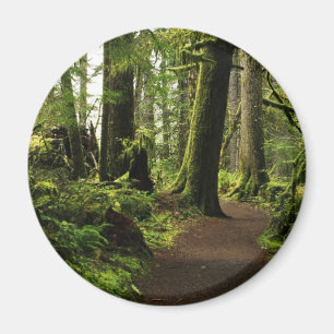 Imã Trilha entre Giants