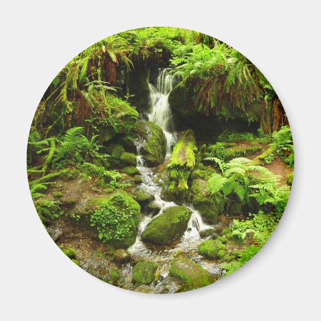 Imã Trillium Falls no Parque Nacional de Redwood (Frente)