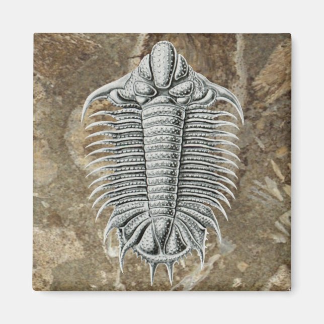 Imã Trilobite Magnet (Frente)