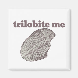 Imã Trilobite Me
