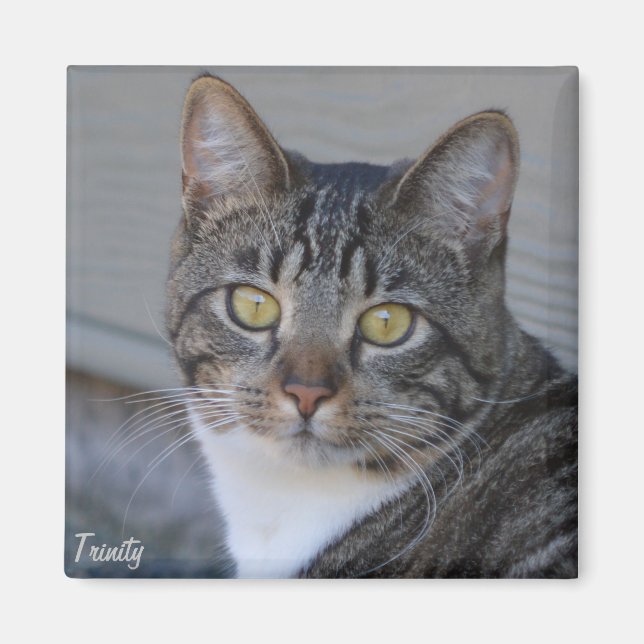 Imã Trindade (Frente)