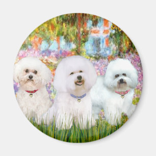 Imã Trio de Bichon Frise - Jardim (VG)